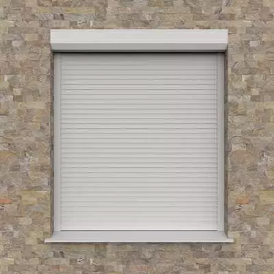 Оконные роллеты Prestige белого цвета